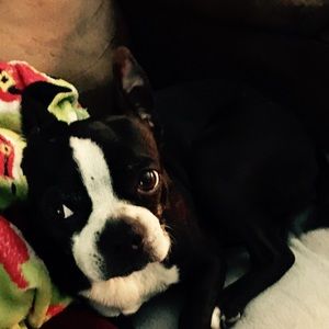 Meet your Posher, Kim